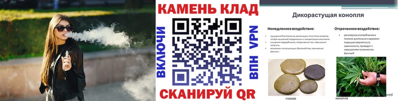 ГАШ Изолятор Раменское