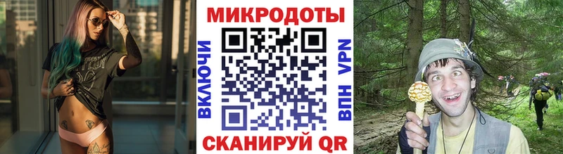 как найти закладки  блэк спрут ONION  Псилоцибиновые грибы GOLDEN TEACHER  Раменское 